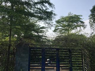 1200m2/100m2 thổ cư sẵn nhà sẵn khuôn viên vị trí tiến xuân giá tốt trong tuần  0982 361 ***