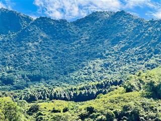 Hiện tại em còn 8 lô diện tích từ 800 đến 1200m/150 thổ cư hàng f0.phù hợp xây nghỉ dưỡng, homestay