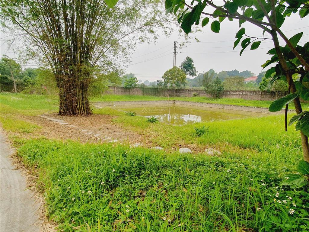 Cần bán lô đất tổng diện tích 2500/300 thổ cư. hòa thạch quốc oải. lô góc 3 mặt tiền. giá tốt