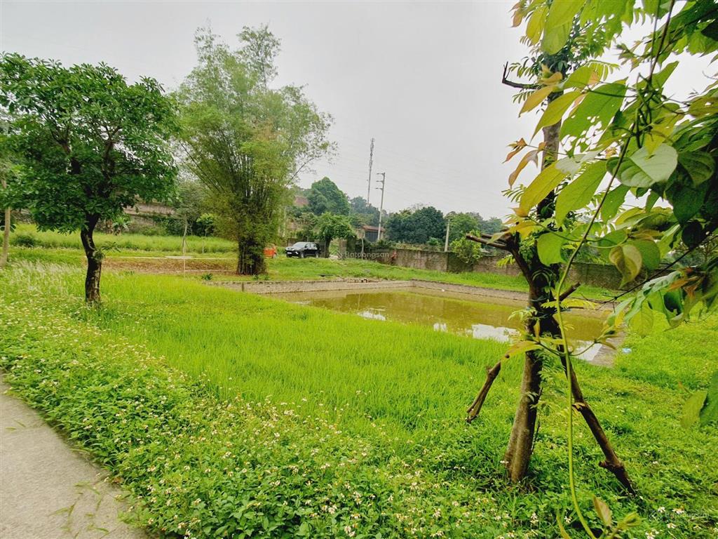 Cần bán lô đất tổng diện tích 2500/300 thổ cư. hòa thạch quốc oải. lô góc 3 mặt tiền. giá tốt