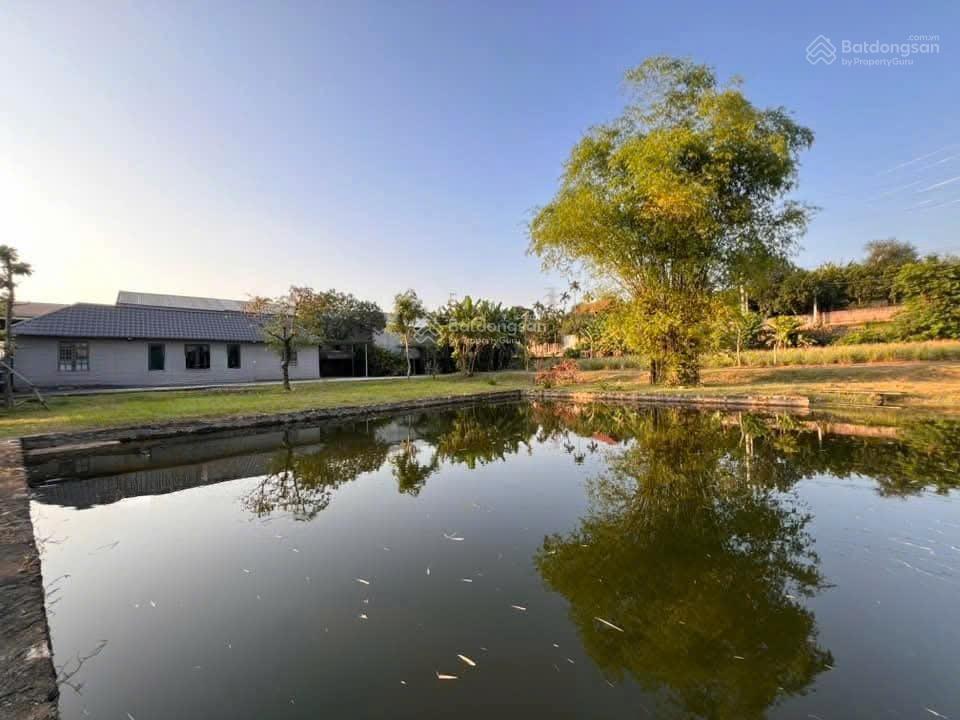 Cần bán lô đất tổng diện tích 2500/300 thổ cư. hòa thạch quốc oải. lô góc 3 mặt tiền. giá tốt