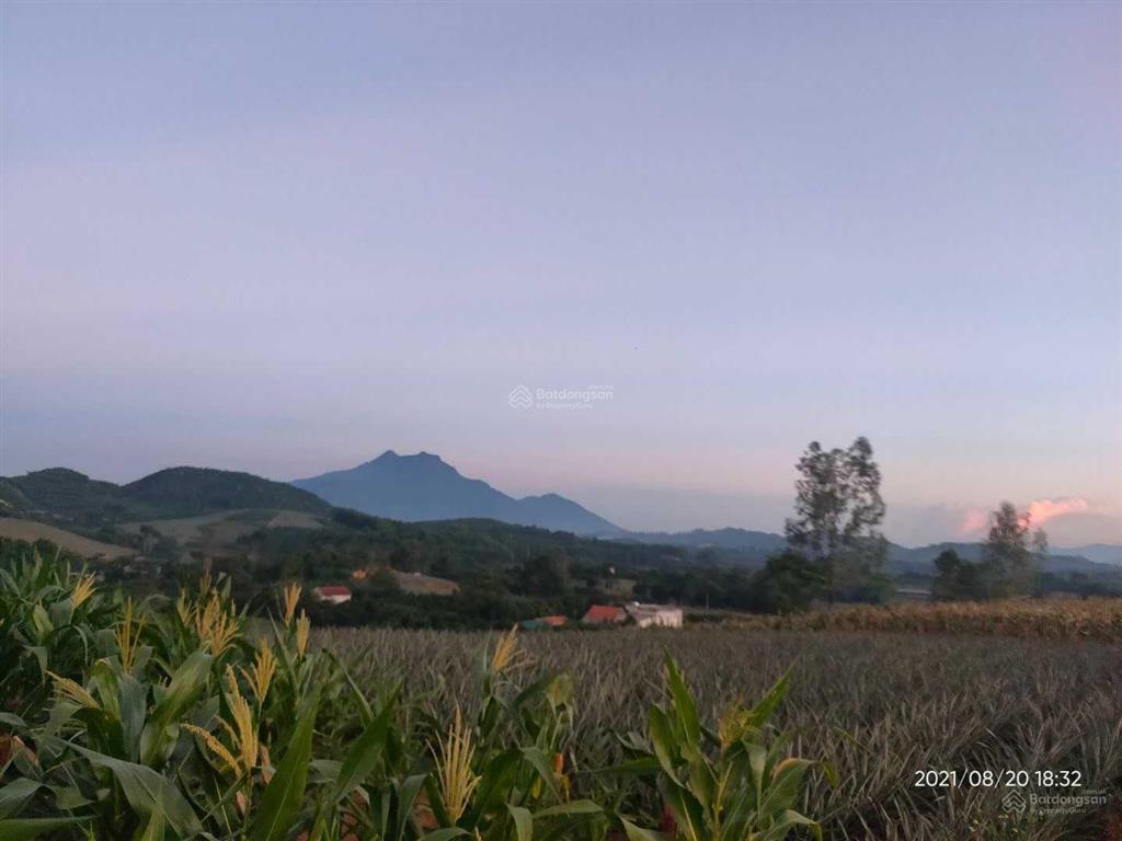 Đất vàng ba vì chỉ 500k/m2  dt 7000m2 mặt tiền khủng 100m, bằng phẳng có công trình và hoa màu