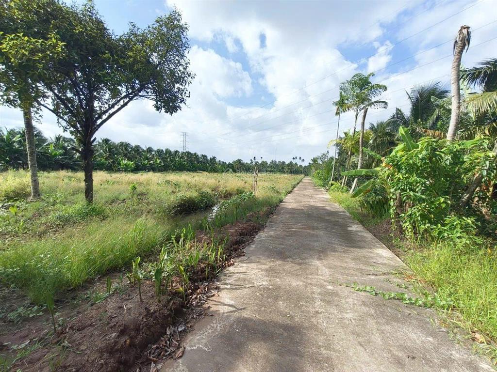 Siêu phẩm đất vườn 15,579m2 có nhà vườn 3pn sát cầu rạch miễu 2 (800m) mới thông xe