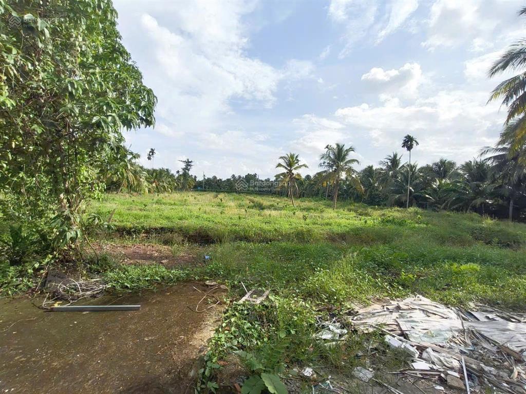 Siêu phẩm đất vườn 15,579m2 có nhà vườn 3pn sát cầu rạch miễu 2 (800m) mới thông xe