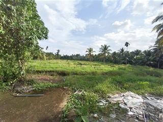 Siêu phẩm đất vườn 15,579m2 có nhà vườn 3pn sát cầu rạch miễu 2 (800m) mới thông xe