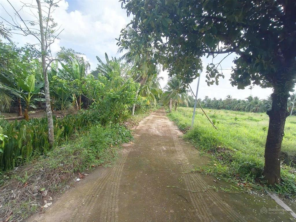 Siêu phẩm đất vườn 15,579m2 có nhà vườn 3pn sát cầu rạch miễu 2 (800m) mới thông xe