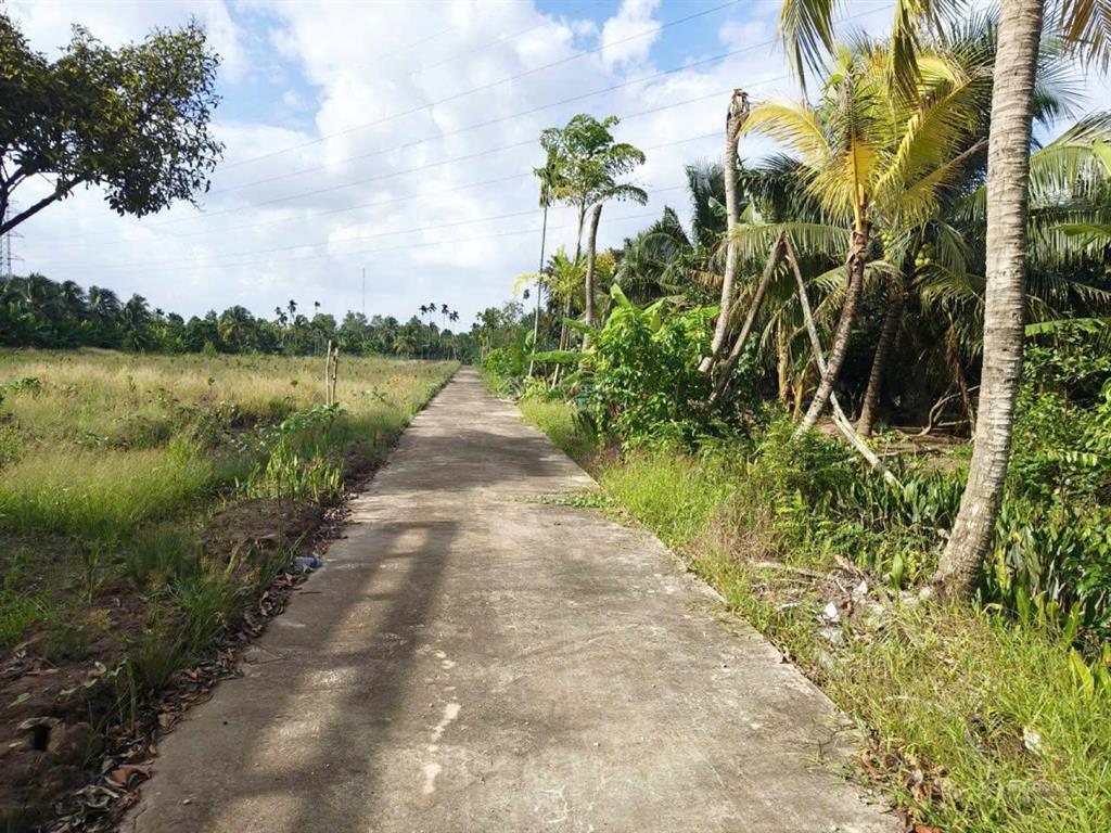 Siêu phẩm đất vườn 15,579m2 có nhà vườn 3pn sát cầu rạch miễu 2 (800m) mới thông xe