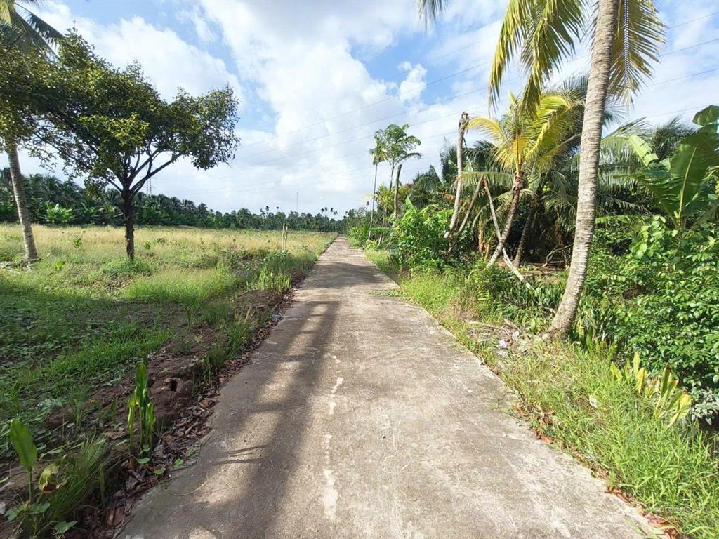 Siêu phẩm đất vườn 16.000m² có nhà 3pn sát cầu rạch miễu 2 (800m)