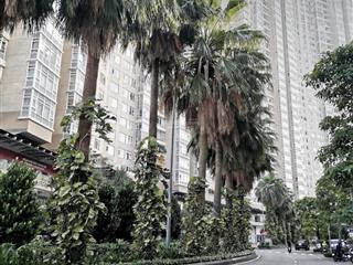 Cho thuê biệt thự saigon pearl bình thạnh, 89 triệu, 157.5m2, 5pn, 6wc, nhiều tiện ích
