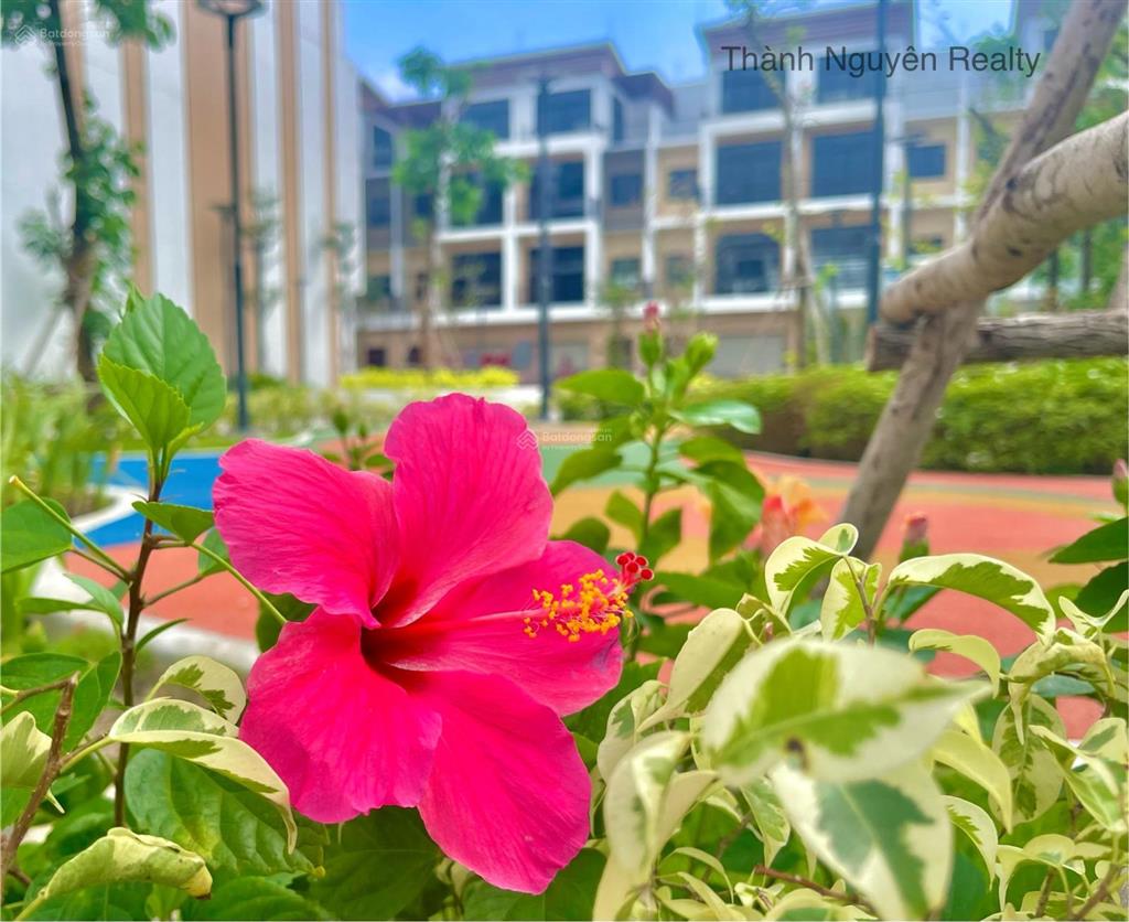 Quỹ căn vip tháng 12 tại dự án t&t city millennia