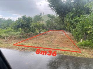 Đất mặt tiền tl8 khánh bình, vị trí đẹp giá rẻ