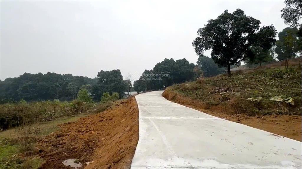 Bán 4ha4 đất nghỉ dưỡng view trên cao giáp rừng nguyên sinh tại lương sơn hòa bình