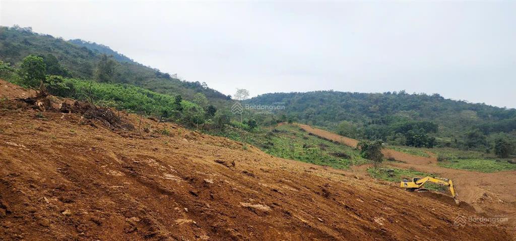 Bán 4ha4 đất nghỉ dưỡng view trên cao giáp rừng nguyên sinh tại lương sơn hòa bình