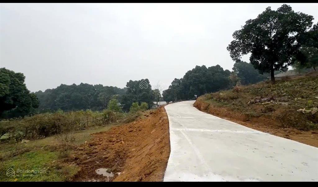 Bán 4ha4 đất nghỉ dưỡng view trên cao giáp rừng nguyên sinh tại lương sơn hòa bình