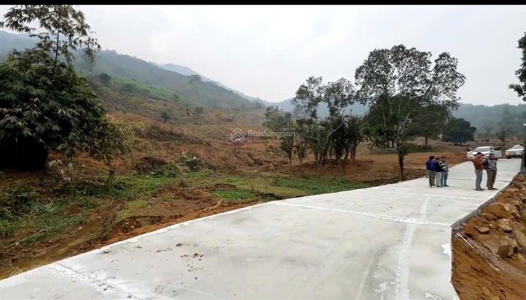 Bán 4ha4 đất nghỉ dưỡng view trên cao giáp rừng nguyên sinh tại lương sơn hòa bình