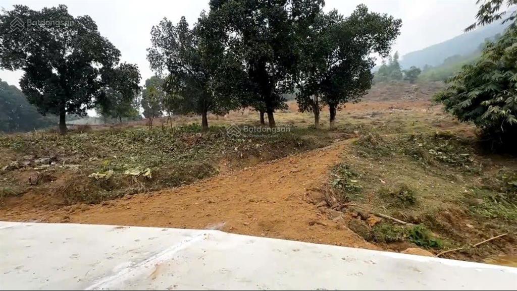 Bán 4ha4 đất nghỉ dưỡng view trên cao giáp rừng nguyên sinh tại lương sơn hòa bình