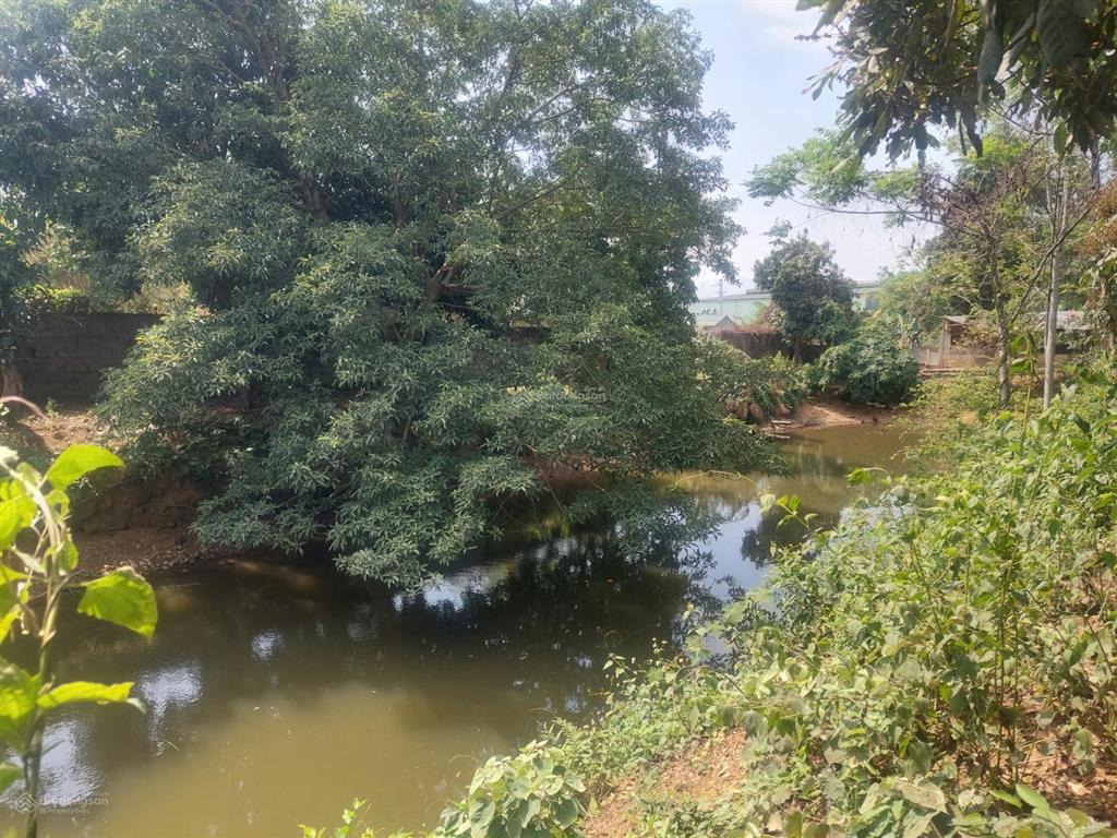 Chính chủ giao chìa khóa bán khu khuôn viên nhà vườn cơ bản sát dự án legacy 60ha giá nhỉnh 5tr/m