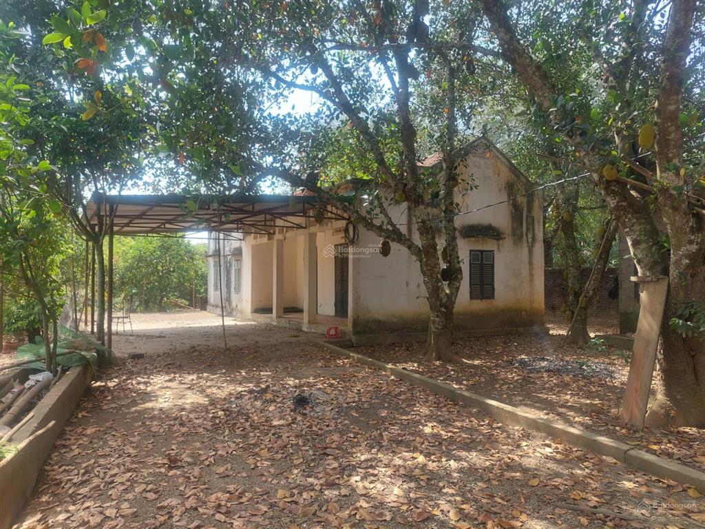 Chính chủ giao chìa khóa bán khu khuôn viên nhà vườn cơ bản sát dự án legacy 60ha giá nhỉnh 5tr/m