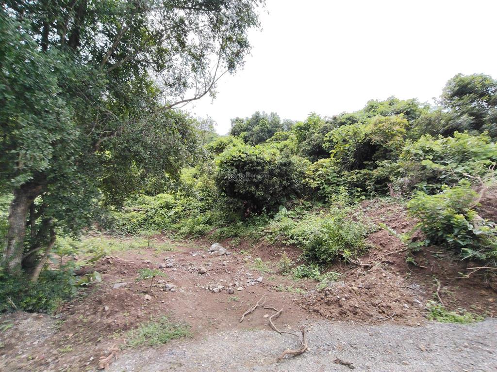 Bán 1ha đất rsx thị trấn lương sơn đối diện khu quân đội giá 1,x tỷ