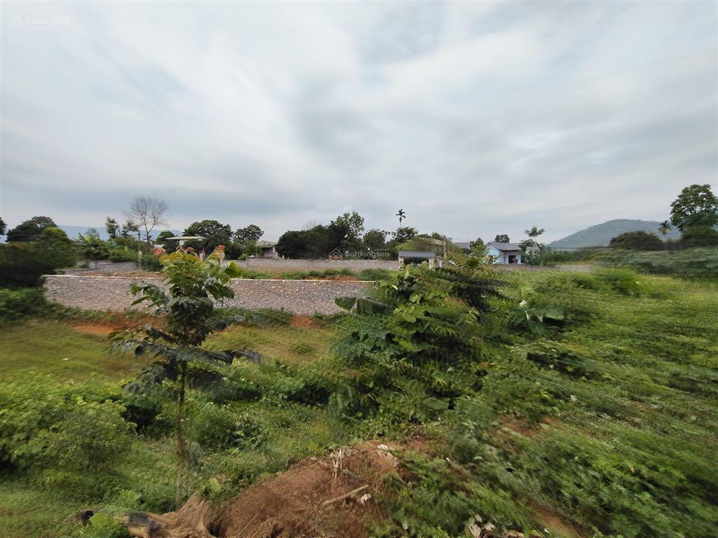 Cần bán ~2500m2 đất nghỉ dưỡng thị trấn lương sơn bán mặt đường ô tô tránh giá 4,x tr/m