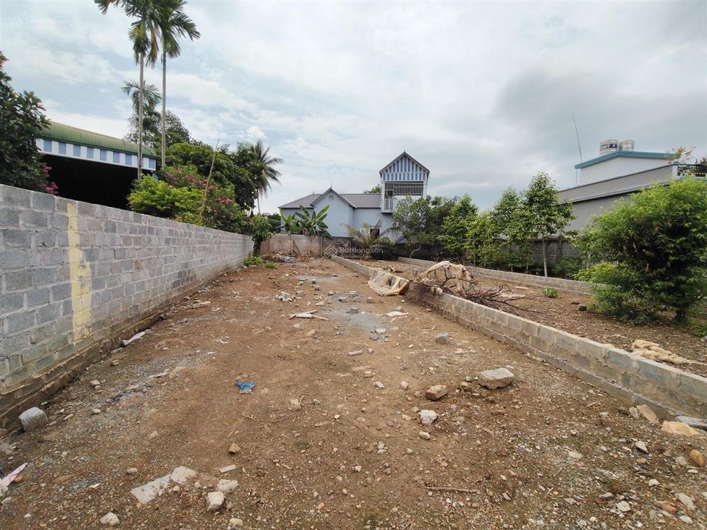 Bán 160 m đất thị trấn ,view cánh đồng bám đường nhựa asphal giá chỉ nhỉnh 2 tỷ