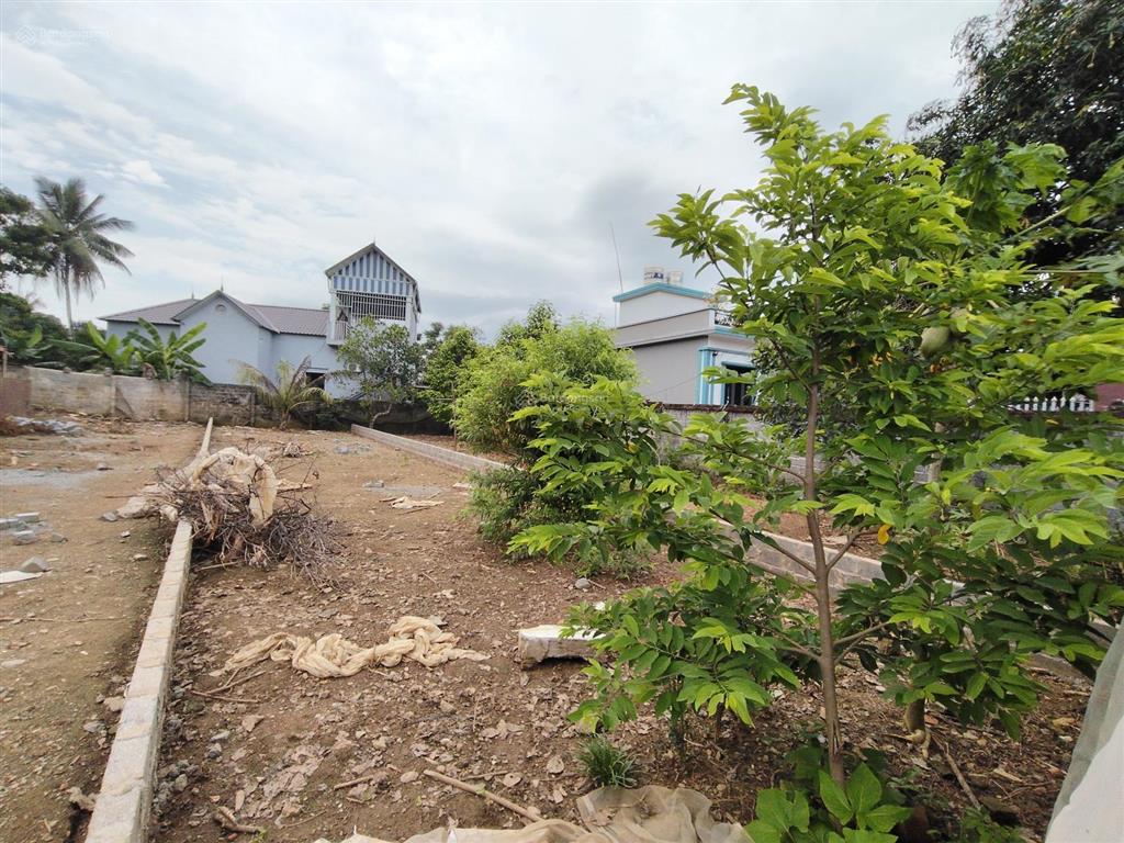 Bán 160 m đất thị trấn ,view cánh đồng bám đường nhựa asphal giá chỉ nhỉnh 2 tỷ