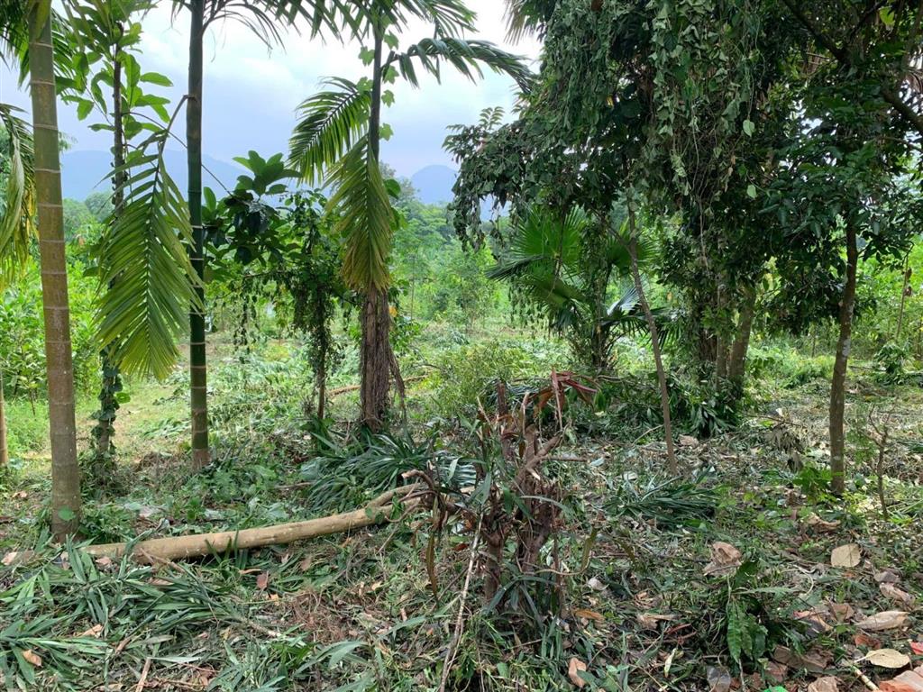 Chủ bán lô đất bám hồ tại kim bôi 1022m2 gần dự án sungroup giá 1.x tỷ