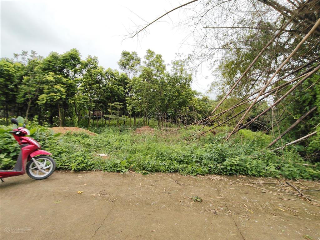 Bán lô đất hai mặt đường rộng 5602m2 tại nhuận trạch, đầu tư phân lô cực đẹp