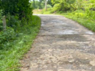 Bán lô đất 1400m2 bám suối và bám đường trục liên xã, giá 8xxtr