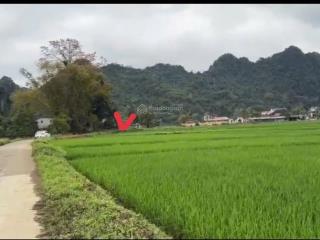 Cần tiền bán gấp lô đất full thổ cư view cánh đồng giá nhỉnh 500trieu