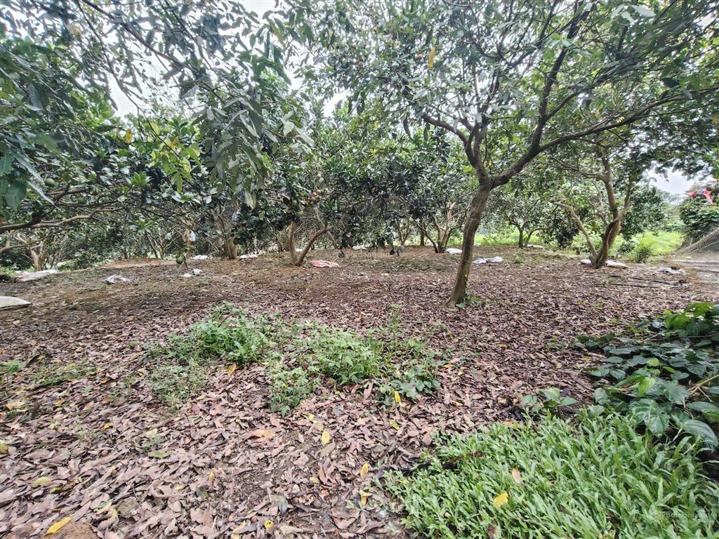 Lô đất 790m2 300m2 tc bám đường hơn 25m tại yên thủy, giá 1,xtr/m2