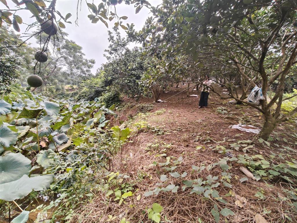 Lô đất 790m2 300m2 tc bám đường hơn 25m tại yên thủy, giá 1,xtr/m2