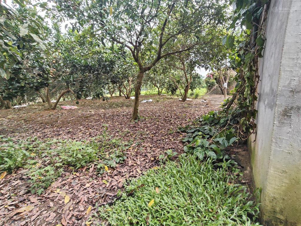 Lô đất 790m2 300m2 tc bám đường hơn 25m tại yên thủy, giá 1,xtr/m2