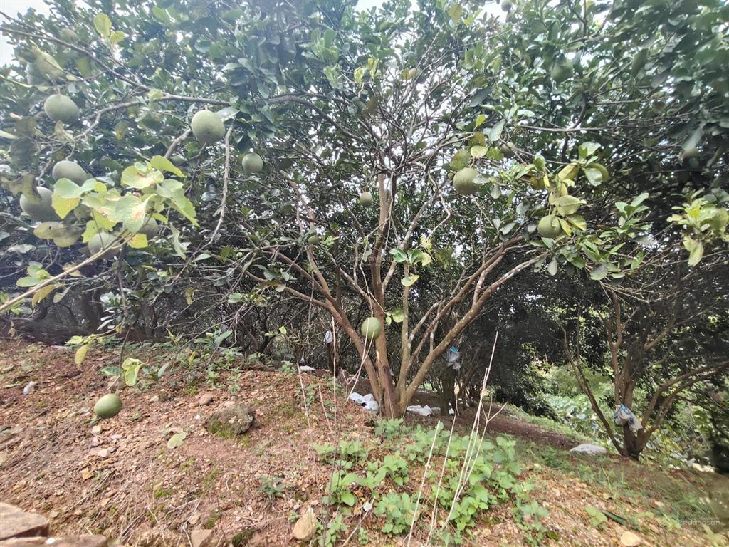 Lô đất 790m2 300m2 tc bám đường hơn 25m tại yên thủy, giá 1,xtr/m2