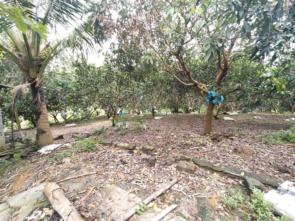 Lô đất 790m2 300m2 tc bám đường hơn 25m tại yên thủy, giá 1,xtr/m2