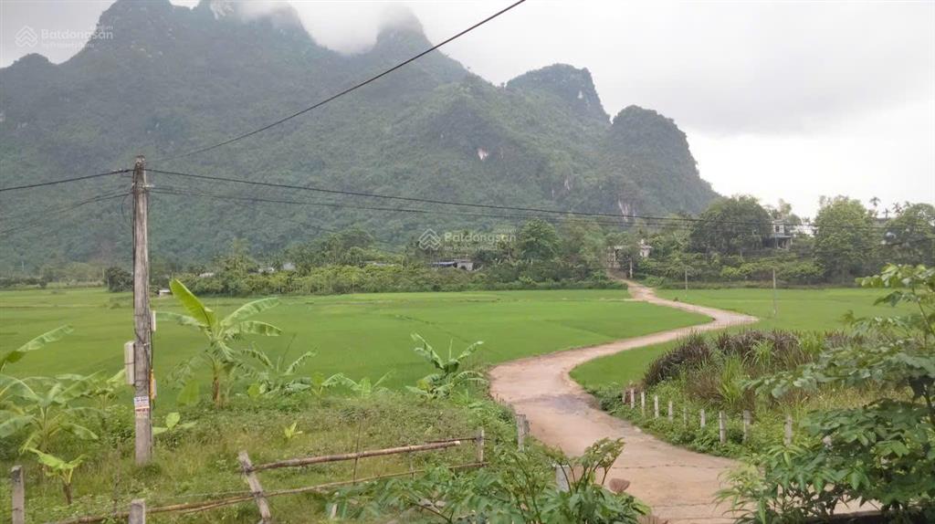 Bán đất nghỉ dưỡng sẵn nhà khang trang 2,x tỷ, cách hn 65km