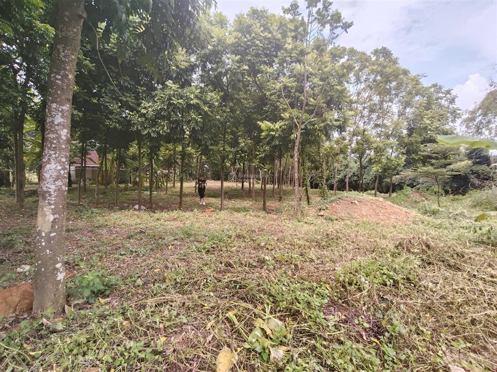 Lô đất hai mặt tiền view canh đồng dài phân lô thoải mái giá 6,xtr/m