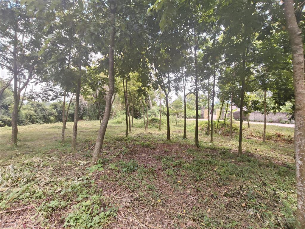 Lô đất hai mặt tiền view canh đồng dài phân lô thoải mái giá 6,xtr/m