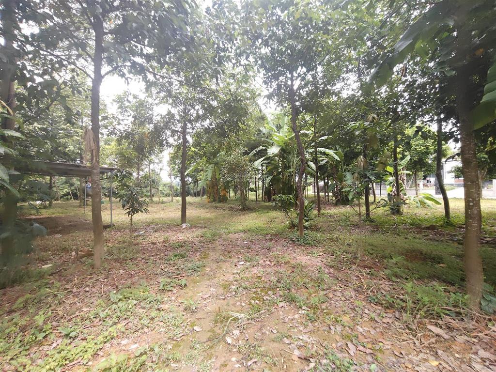 Lô đất hai mặt tiền view canh đồng dài phân lô thoải mái giá 6,xtr/m