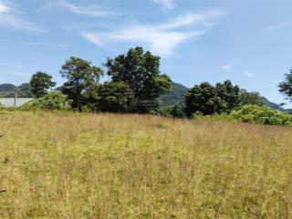 Cần bán 1400m2 đất nghỉ dưỡng view cánh đồng 1,x tỷ kim bôi hòa bình
