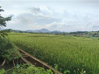 Bán 900m2 full đất ở view cánh đồng lúa chín thoáng vĩnh viễn, đường lên kdl bản mừng cao phong hb