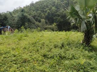 Chủ bán 4200m sẵn nhà nhỏ , suối vòng quanh đất giá 3,x tỷ