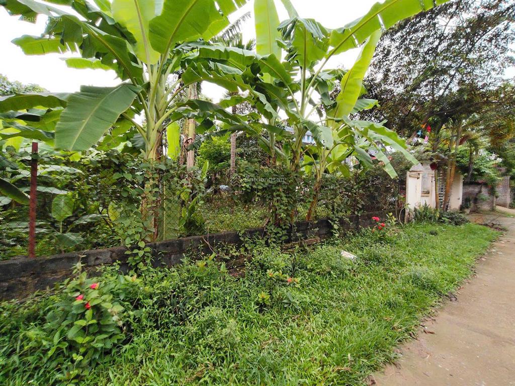 Bán lô đất cổng vào kcn nhuận trạch, giá chỉ 2.x tỷ dt hơn 200m2