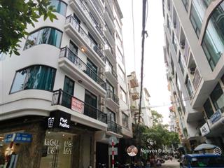 Bán nhà mặt phố nguyễn trường tộ, trúc bạch 80m², mt 5m, tiềm năng xây building 9tầng chỉ 59tỷ