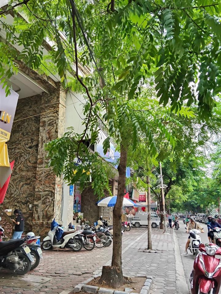 Bán nhà mặt phố đinh công thượng 98m², 7 tầng, mt 6m, lô góc, vị trí hàm cá mập đắc địa, chỉ 33 tỷ