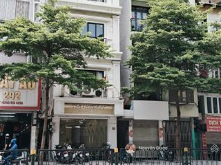 Mặt phố tôn đức thắng, đống đa, giá đầu tư, dt 130m, sổ vuông, kd đa dạng ngành nghề, chỉ 56 tỷ