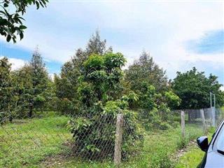 Sang lại gấp miếng vườn ở chơn thành 470tr hơn 1.000m.