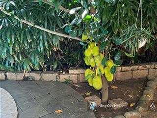 Bán biệt thự mt ngay nguyễn văn hưởng, thảo điền. dt 9,2 x 36m (651m2). kc 3 tầng. giá 115 tỷ