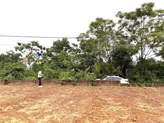 Cần thanh khoản lô đất tại sóc sơn hà nội