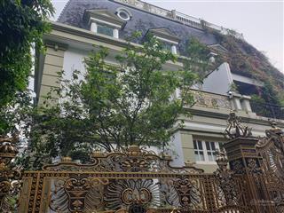 Bán biệt thự vip đẳng cấp thượng lưu  mỹ đình lô góc  s = 194m2 giá 66 tỷ